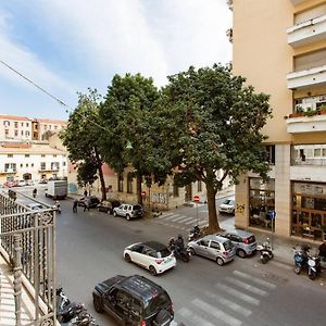 il lapino